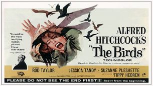 The Birds (1963)