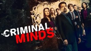 Criminal Minds (2005)