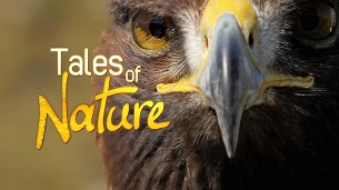 Tales Of Nature (2011)