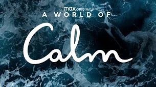 A World of Calm (2020)