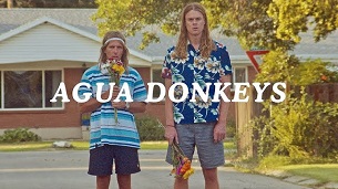 Agua Donkeys (2020)